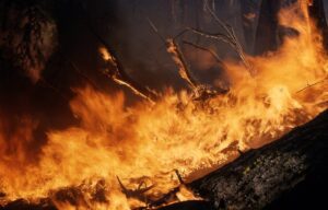 wildfire
