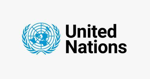 UN logo - Fire Buyer